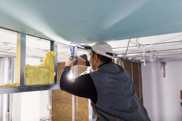 Best DIY Insulation Kits and Guidance in Mccaysville, GA